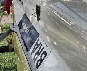 "Esperança" pousou no barco de Beatriz em Trakai (Foto: Beatriz Tavares) 